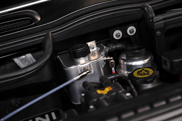 1226 MINI 2 DSC_1996.jpg